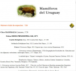 Mamíferos del Uruguay vignette