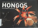 Hongos vignette